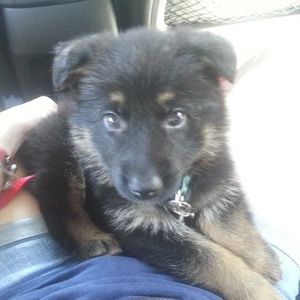 Meet your Posher, Matthew