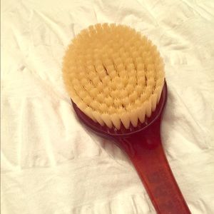 Bass wet/dry body brush