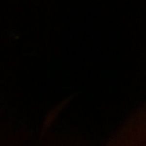 Meet your Posher, Jeremy