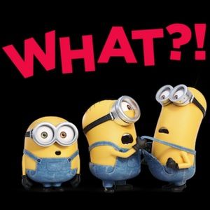 Meet your Posher, Ricardo