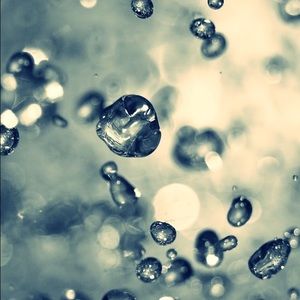 Meet your Posher, Ansley