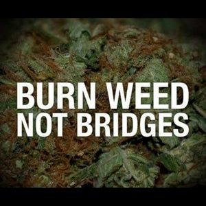 Meet your Posher, Antonio