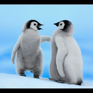 Meet your Posher, Alma