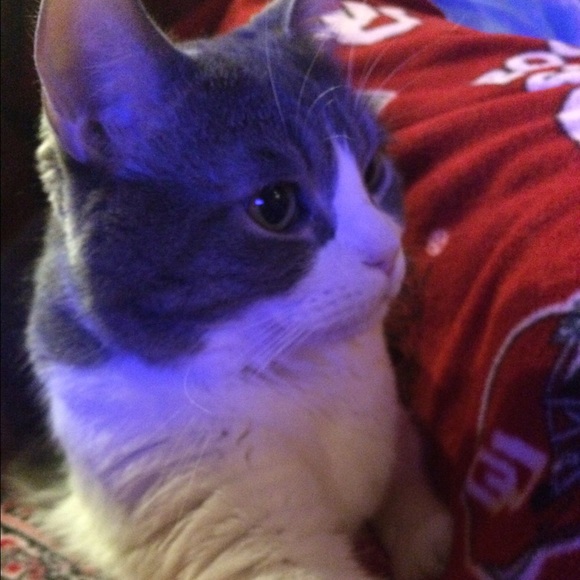 Meet me! - Picture 2 of 4