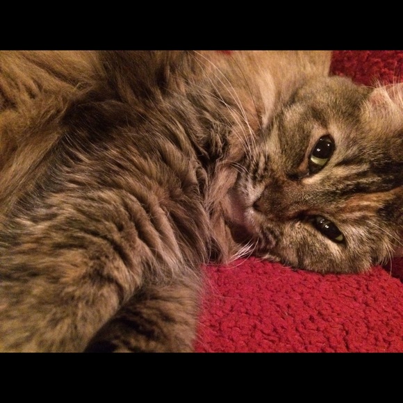 Meet me! - Picture 3 of 4