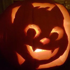 Meet your Posher, Cori