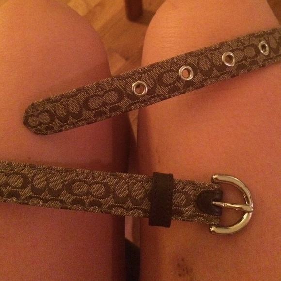 Coach skinny belt