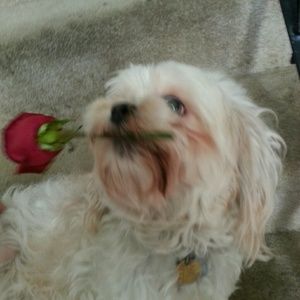 Meet your Posher, Becca