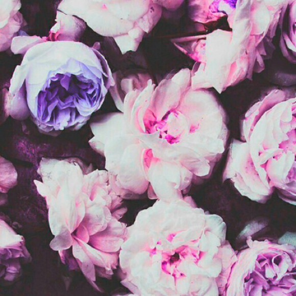 Meet your Posher, Ashley - Picture 2 of 4