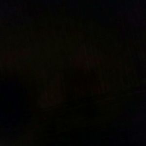 Meet your Posher, Nina