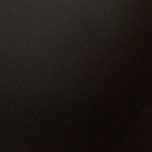 Meet your Posher, Phylicia