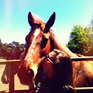 Meet your Posher, Morgan