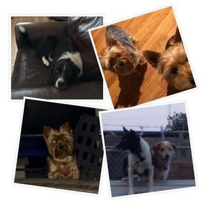 Meet your Posher, Leona