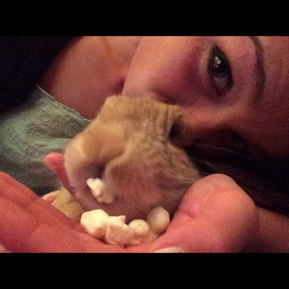 Meet your Posher, Allison - Picture 2 of 2