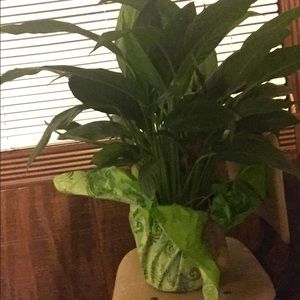 Meet your Posher, Edward