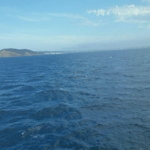 Meet your Posher, Ivonne