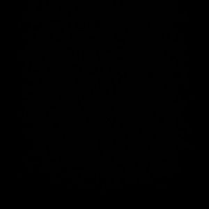 Meet your Posher, Al