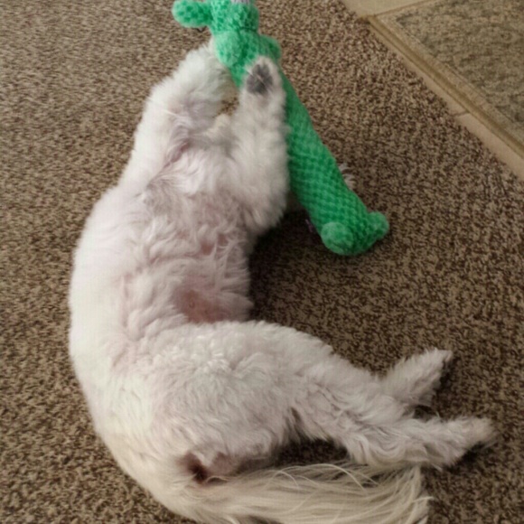 Meet your Posher - Picture 4 of 4