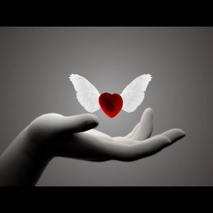 Meet your Posher, Tamara