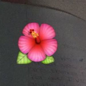 Meet your Posher, Yoselin