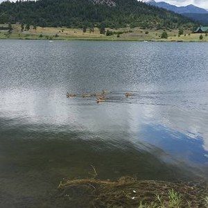 Meet your Posher, Catheline