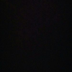 Meet your Posher, Sandy