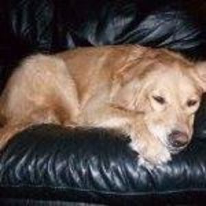 Meet your Posher, Em