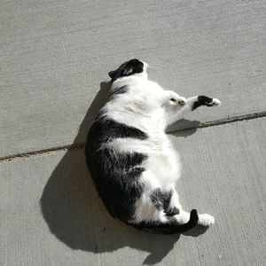 Meet your Posher, Shaunda