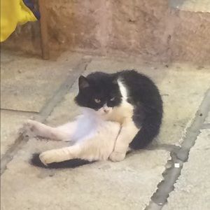 Meet your Posher, Sara