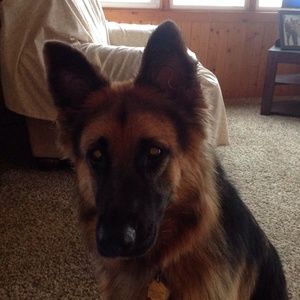 Meet your Posher, Laura