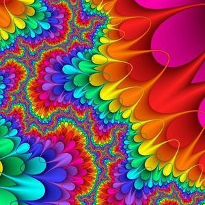 Meet your Posher, Sue