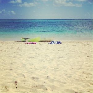 Meet your Posher, Erika