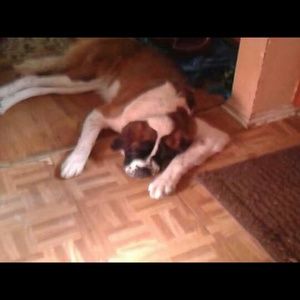 Meet your Posher, Syndi