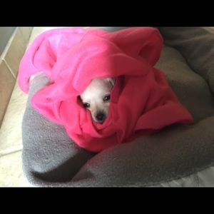 Meet your Posher, Martin