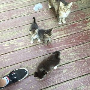 Meet your Posher, Betsy