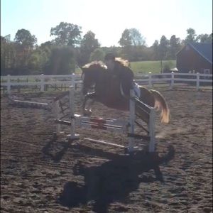 Meet your Posher, Bree