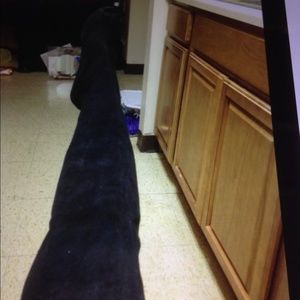 Swade. Over the knee high boots black