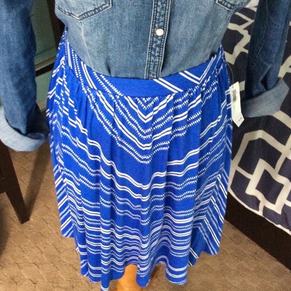 Blue Skirt - Picture 2 of 4