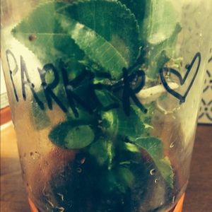 Meet your Posher, Hunter