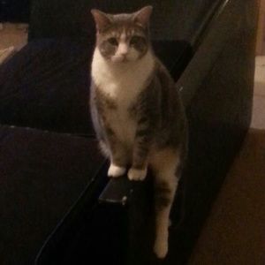 Meet your Posher, Gerald