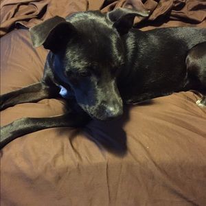 Meet your Posher, Courtney