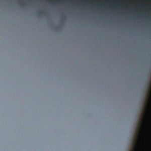 Meet your Posher, Tiara