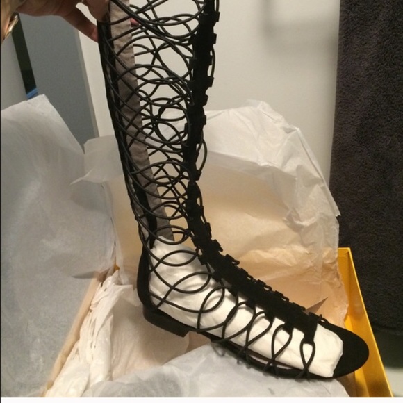 Anthropologie gladiators