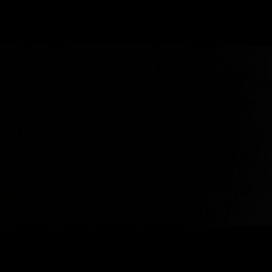 Meet your Posher, Shanel