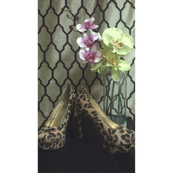 Cheetah heel