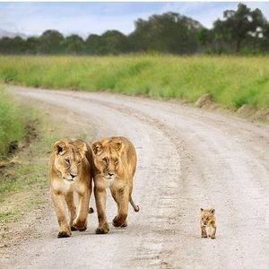 Meet your Posher, Micole