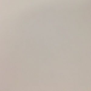 Meet your Posher, Charlene