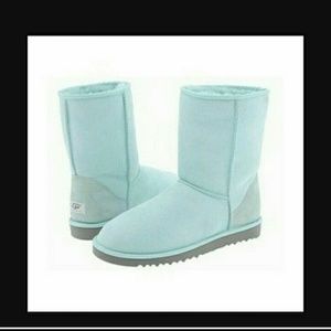 Light Blue Uggs