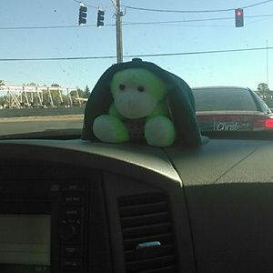 Meet your Posher, Echo