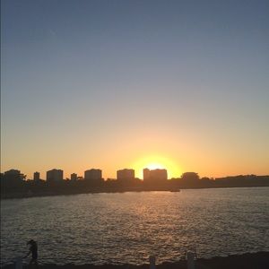 Meet your Posher, Reginald